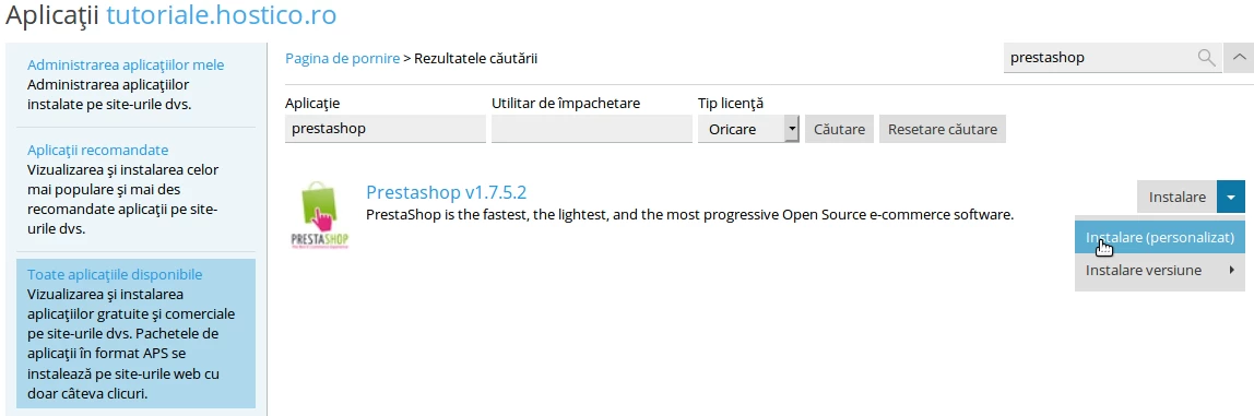 Instalare Personalizata